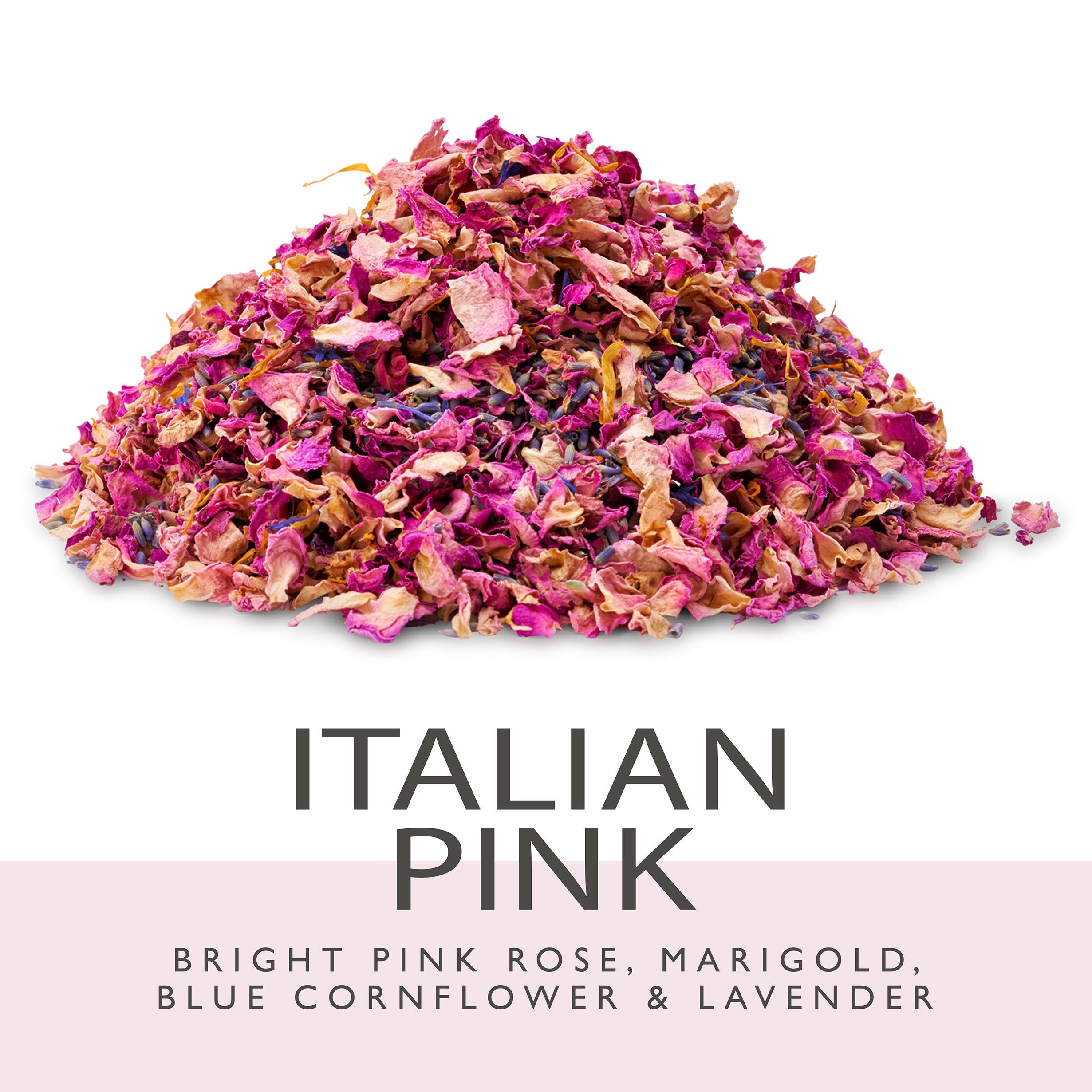 Bright Pink Small Natural Rose Petal Sample - Real Flower Petal Confetti Co